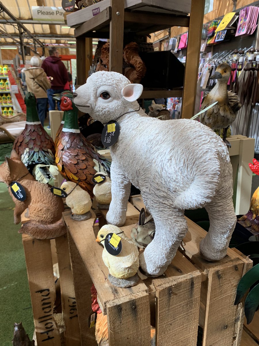 RuthHGoode's tweet photo. @rincew1nd @LumberBadger Quite fancied this for my garden until I looked at the price… dare say I could have bought a live one for similar! https://t.co/XQRe9oT2In