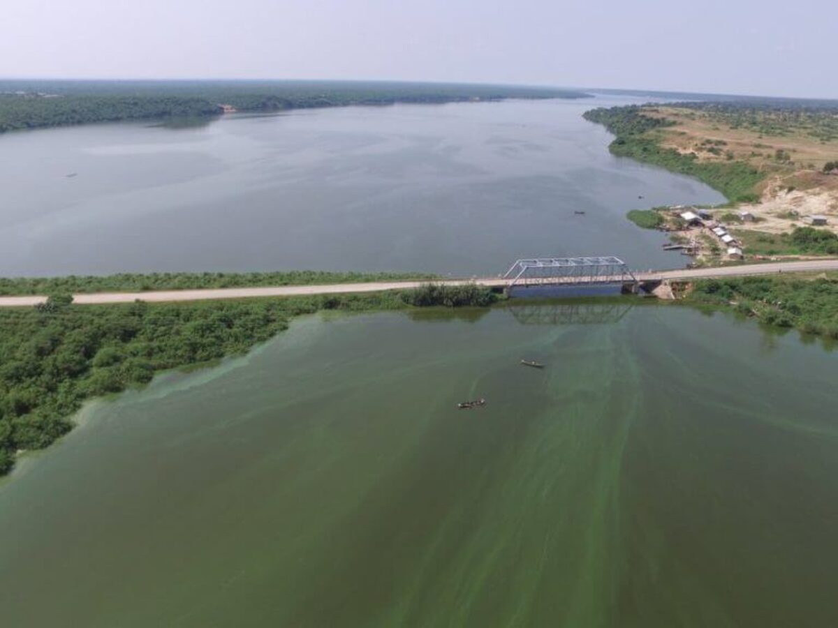 kat_festo's tweet photo. The Kazinga Channel is a 32-kilometer-long natural channel that connects Lake George &amp; Lake Edward in QENP. 
The channel is a popular tourist destination for game viewing &amp; home to a variety of wildlife; hippos, crocodiles, elephants, buffalo &amp; over 100 species of water birds. https://t.co/oqOXT3JZtq