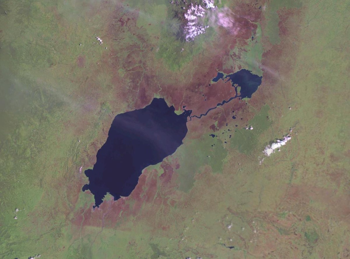 kat_festo's tweet photo. The Kazinga Channel is a 32-kilometer-long natural channel that connects Lake George &amp; Lake Edward in QENP. 
The channel is a popular tourist destination for game viewing &amp; home to a variety of wildlife; hippos, crocodiles, elephants, buffalo &amp; over 100 species of water birds. https://t.co/oqOXT3JZtq