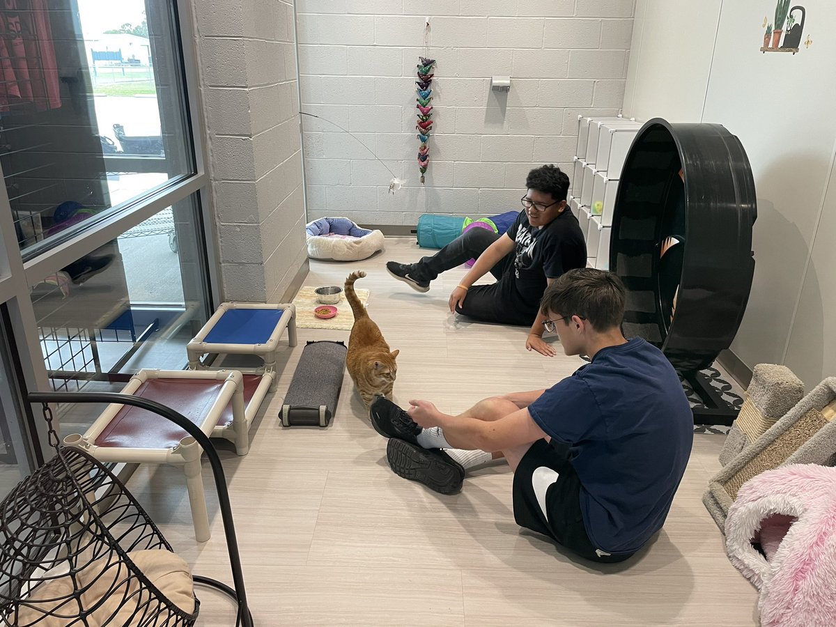 Manteo Middle AVID tweet media