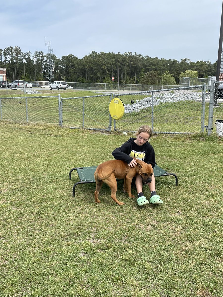 Manteo Middle AVID tweet media