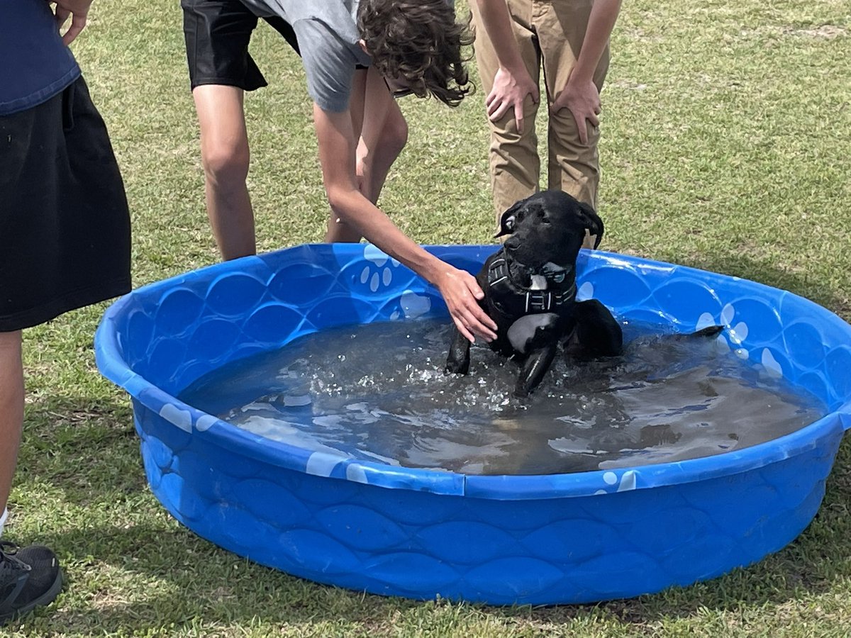 Manteo Middle AVID tweet media