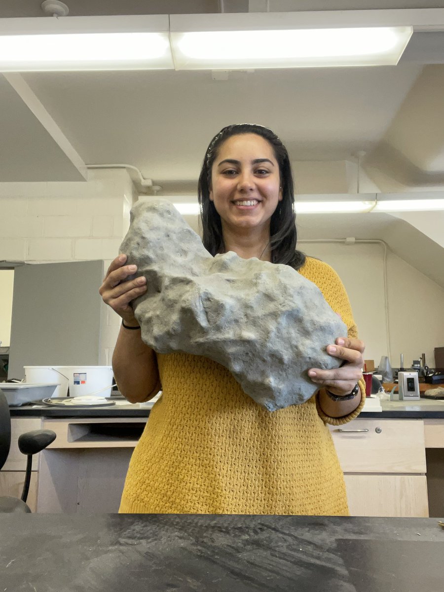 Manica Nawaz tweet media