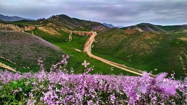 Najibul40560201's tweet photo. The beautiful nature of the #Levakant city 😍

#Tajikistan
#Khatlon
#nature 
#beauty https://t.co/Y8Funi6Rif