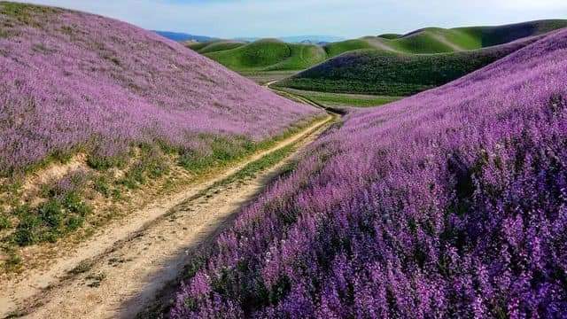 Najibul40560201's tweet photo. The beautiful nature of the #Levakant city 😍

#Tajikistan
#Khatlon
#nature 
#beauty https://t.co/Y8Funi6Rif