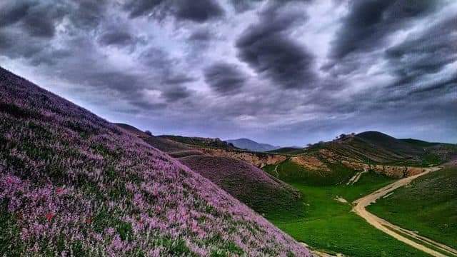 Najibul40560201's tweet photo. The beautiful nature of the #Levakant city 😍

#Tajikistan
#Khatlon
#nature 
#beauty https://t.co/Y8Funi6Rif