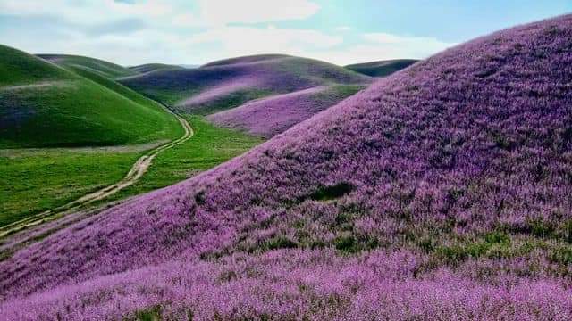 The beautiful nature of the #Levakant city 😍

#Tajikistan
#Khatlon
#nature 
#beauty