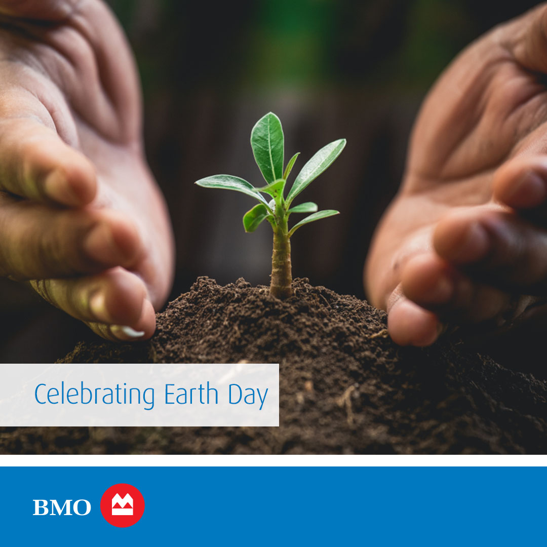 James Kitamura tweet media