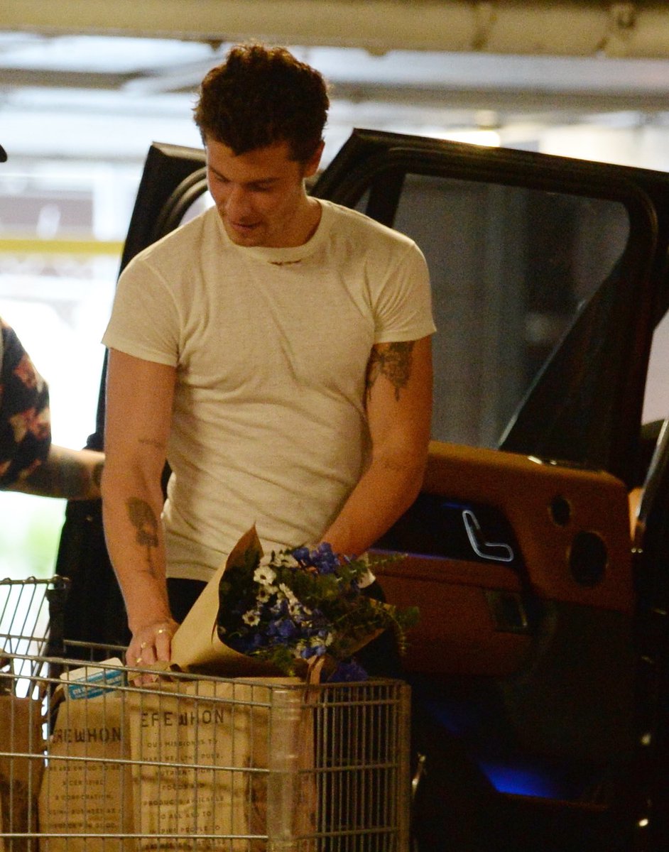 shawposts's tweet image. shawn mendes.