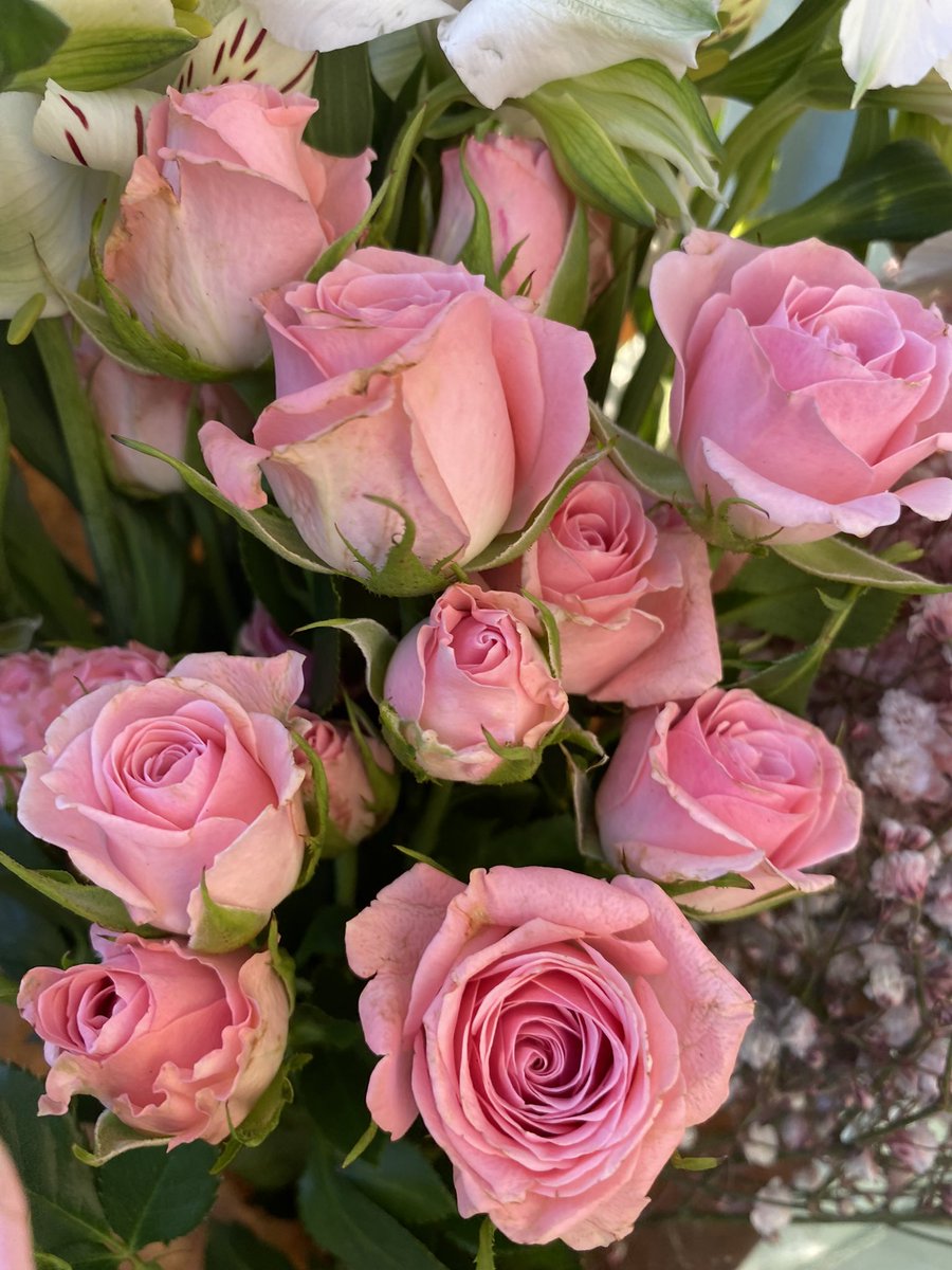 ElGinjoler's tweet photo. 𝕾𝖆𝖓𝖙 𝕵𝖔𝖗𝖉𝖎
🌹📔
𝕃𝕒 𝕗𝕖𝕤𝕥𝕒 𝕕𝕖 𝕝𝕒 𝕡𝕣𝕚𝕞𝕒𝕧𝕖𝕣𝕒
🎋💐🧑‍🌾👩🏻‍🍳

Avui ens ha crescut una por nova
al jardí de casa. És una por
petita, una tija incipient.
 
Amb tot, una flor apunta.
 
Demà dispararà.
✍🏼 Laura López

Bona diada i que la primavera us faci bon profit https://t.co/L4KdfDrmNc