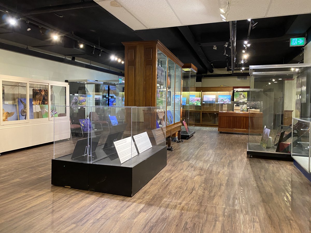 Sidney Museum tweet media