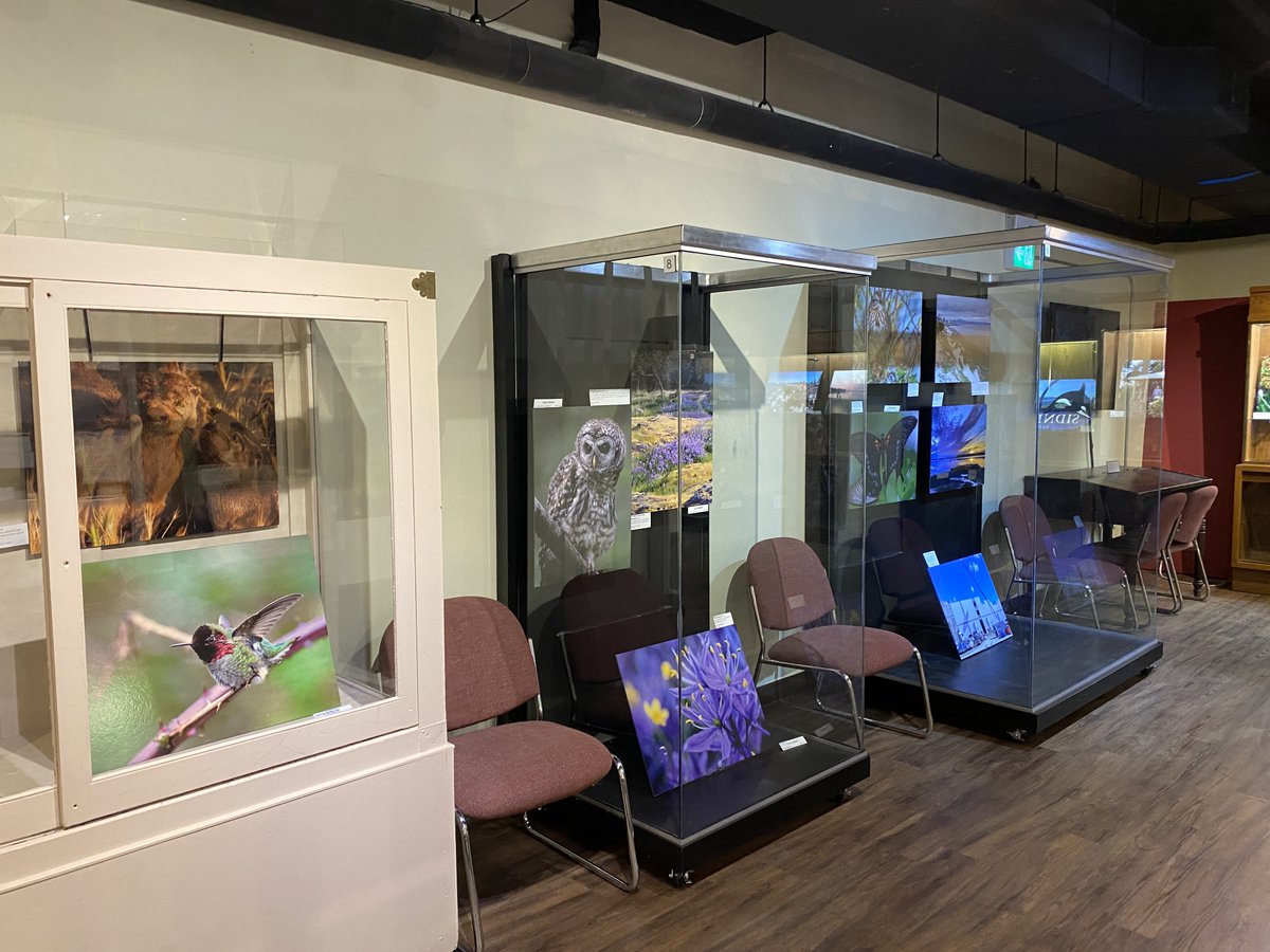 Sidney Museum tweet media