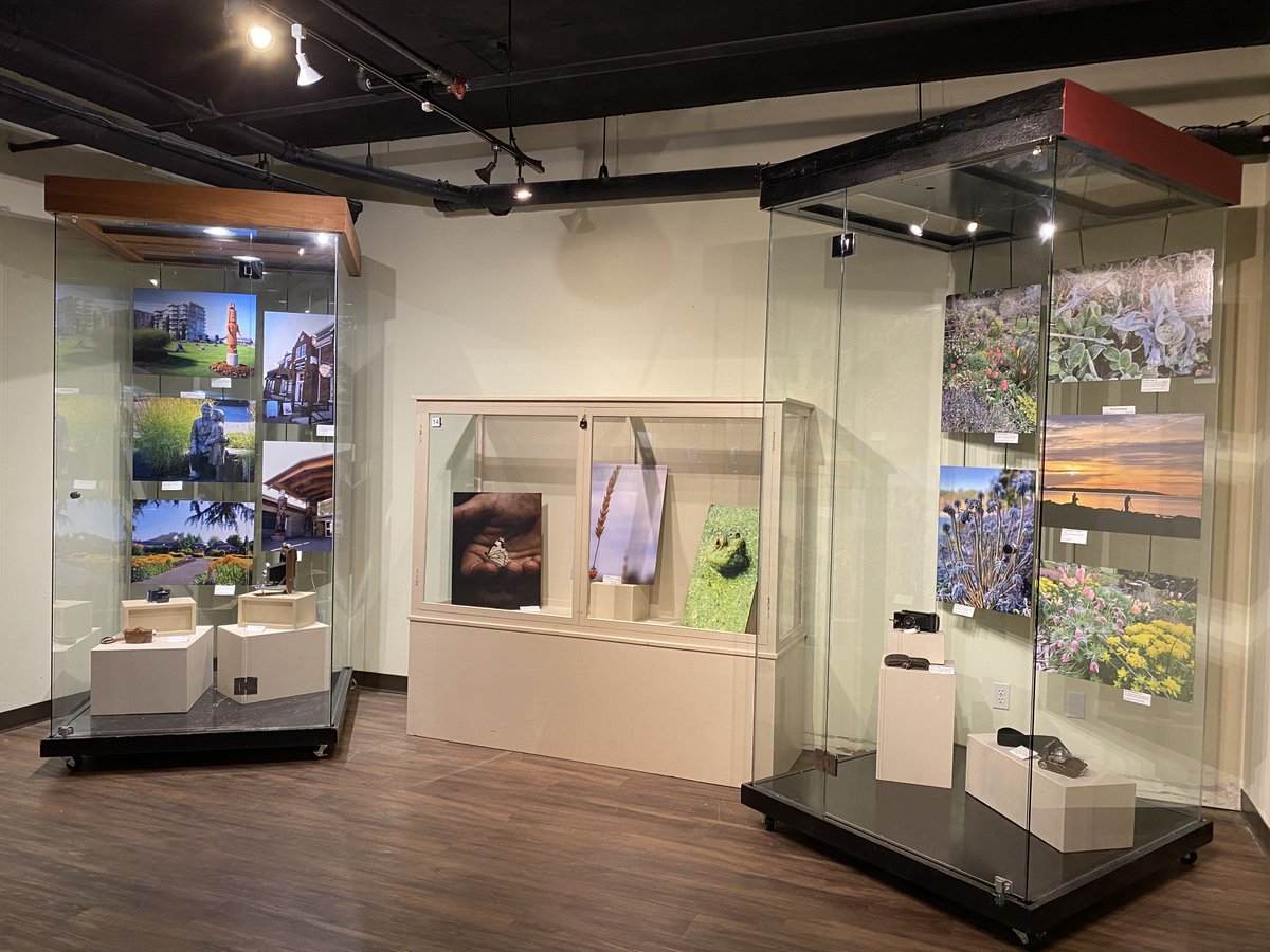 Sidney Museum tweet media