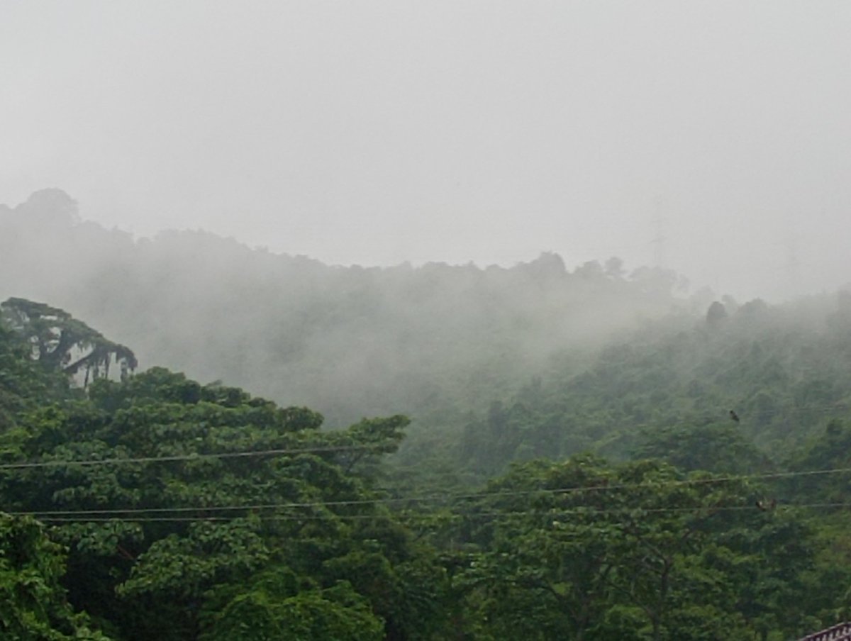 ViaLaCostaLucha's tweet photo. El imponente Cerro Azul d #Guayaquil en #ViaLaCosta es uno d los pocos pulmones q le quedan a la ciudad, dónde la vegetación y la neblina nos invitan a soñar en algún paisaje interandino. Hoy nuestros Bosques están amenazados x la Canteras. Debemos protegerlos. #FueraLasCanteras https://t.co/HPPgVk2vBz