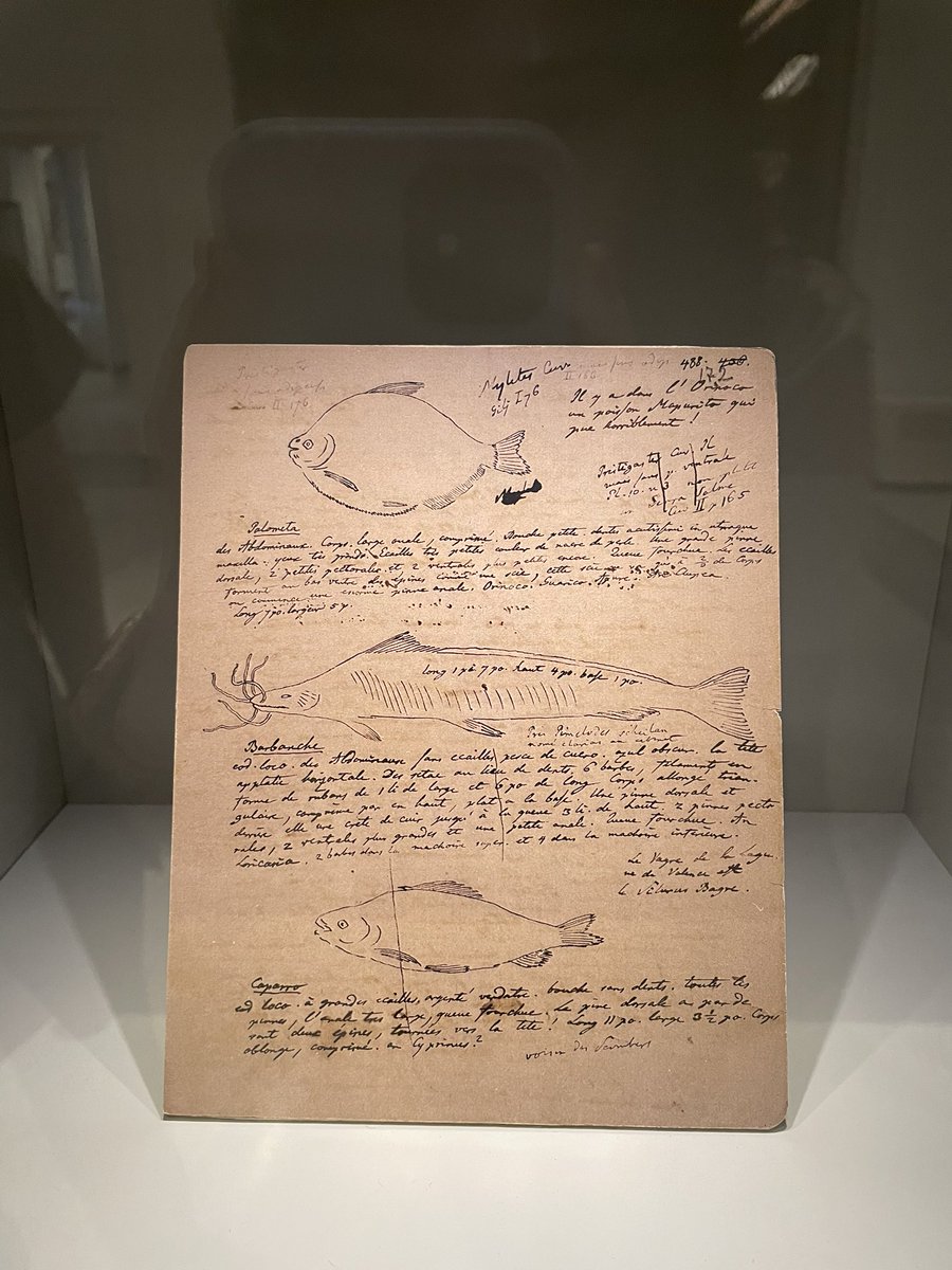 "Great is the power of steady misrepresentation; but the history of science shows that fortunately, this power does not long endure." -Charles Darwin

"The most dangerous worldview is the view of those who have never looked at the world." -Alexander Von Humboldt