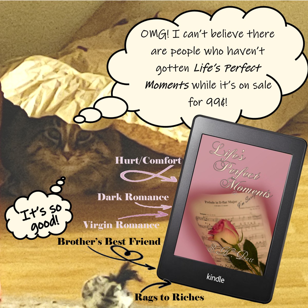 Cyrus gets so judgy on #caturday 😂
Have you picked up the spicy/dark April #bookofthemonth?
Life's Perfect Moments won't be 99¢ for much longer!
#darkromancereads #ragstoriches #brothersbestfriendromance #brothersbestfriend #hurtcomfortromance #hurtcomfort #contemporaryromance