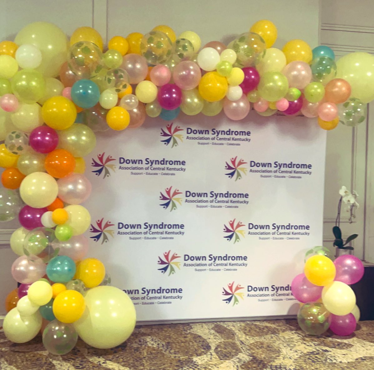 MsLaLaCo's tweet photo. Honored to participate and celebrate with The Down Syndrome Association of Central Kentucky 
Gala is tonight @ 7:00. Take part in supporting this amazing Association, check out their auctions &amp; the amazing items up for grabs
https://t.co/HloC9vg1Yc
 #balloons #bourbon #dsack  #ky https://t.co/F1fMfh41HW