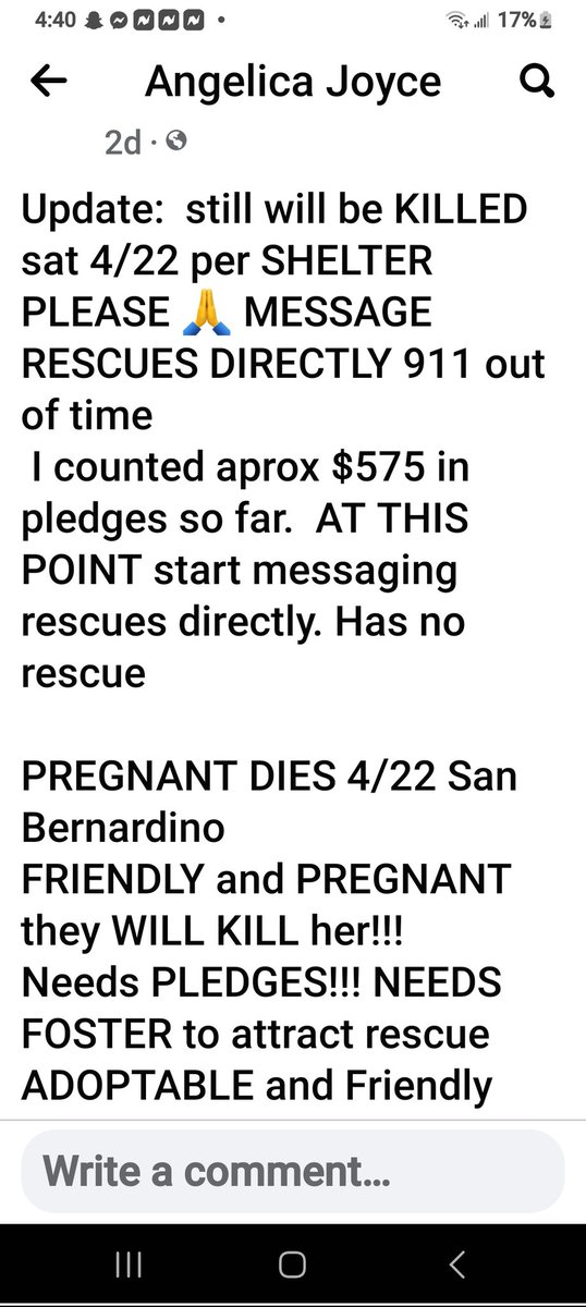 PitbullTina's tweet photo. #PleaseRTRTRT! PREGNANT 3 YR OLD MAMA DIES TODAY! SAN BERNADINO, CA! PLS HELP SAVE HER & HER CHILDREN!!
https://t.co/sQxhjLrk5u https://t.co/PHOWO2WBTM