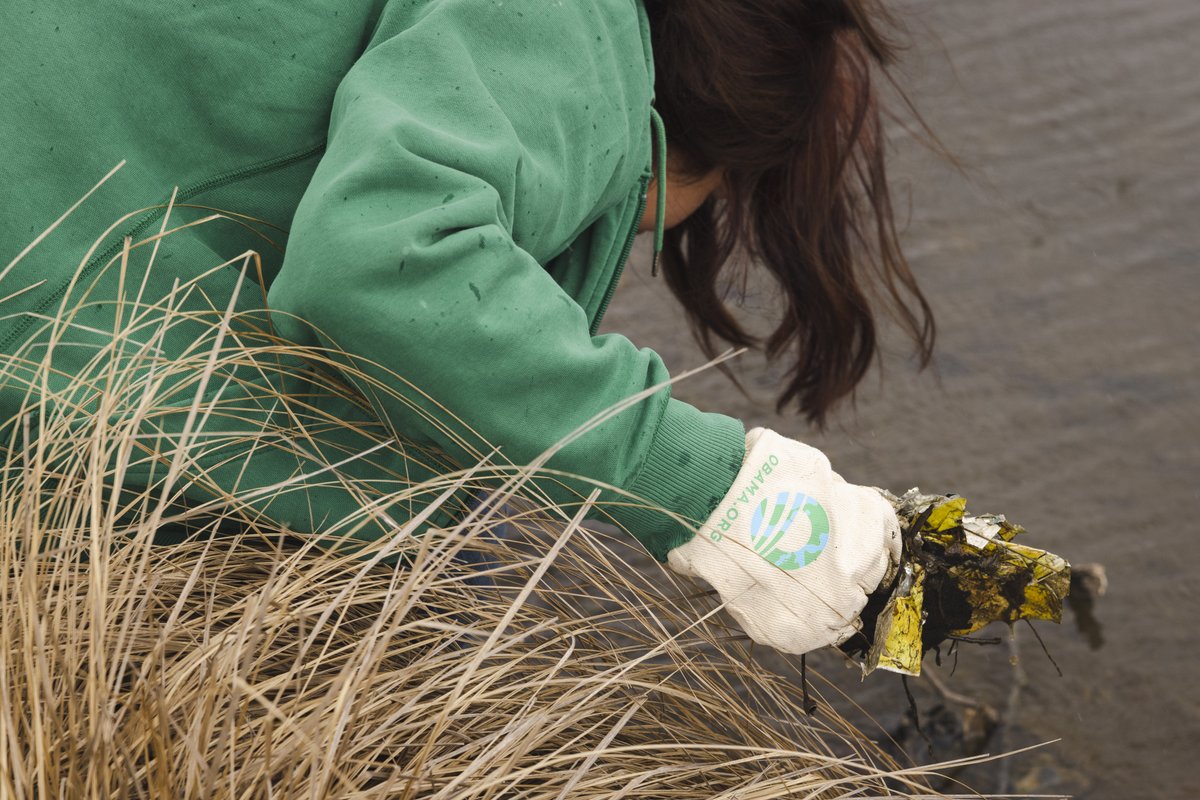 ValerieJarrett's tweet image. Growing up on the South Side, I know firsthand the importance of caring for spaces that have defined so much of its rich history. Grateful for everyone who joined us at our @ObamaFoundation day of service in Chicago.

And a special thank you to our partners at Emerald South!
