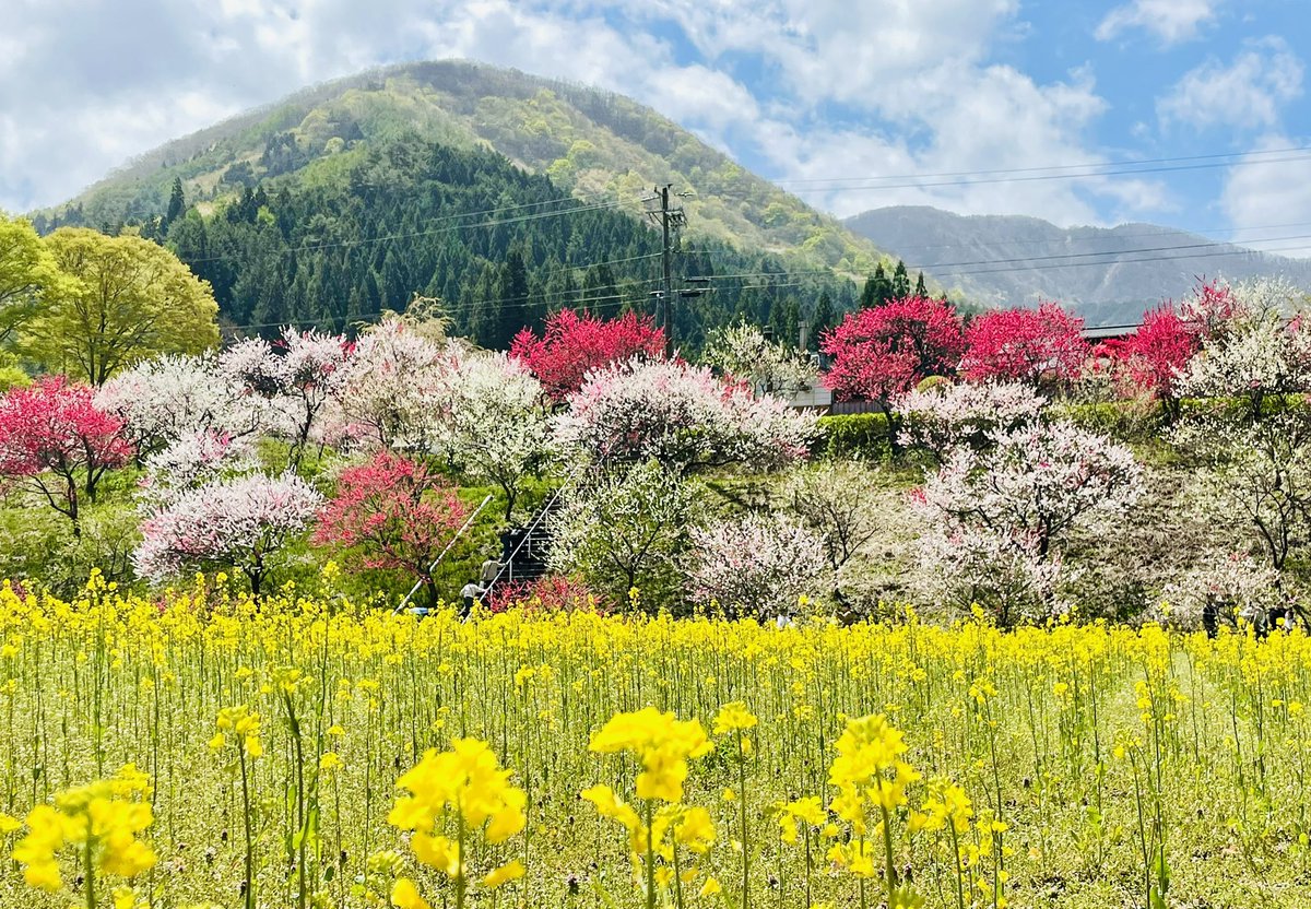 花桃の里 長野県