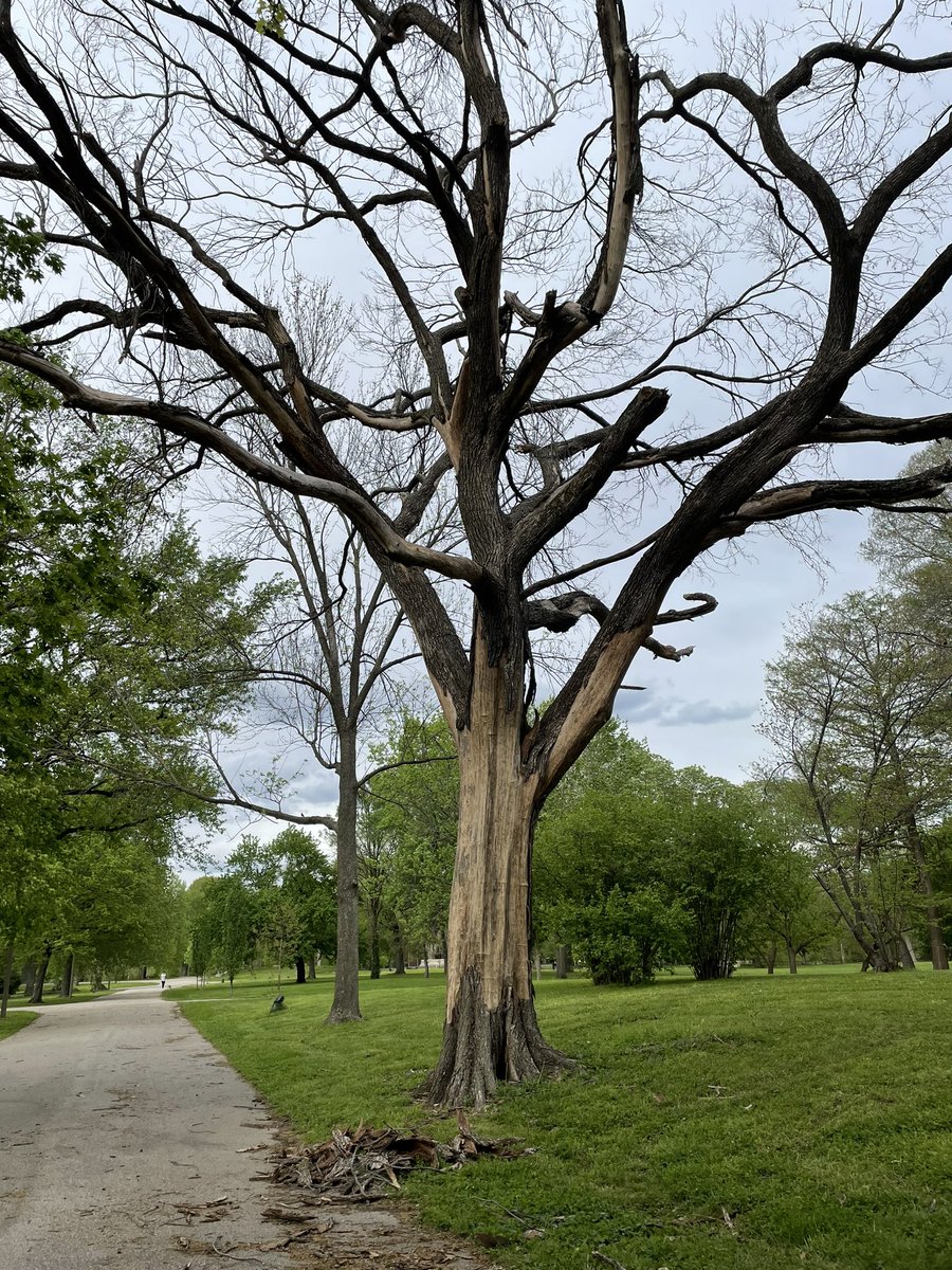 Michelle Tegethoff tweet media