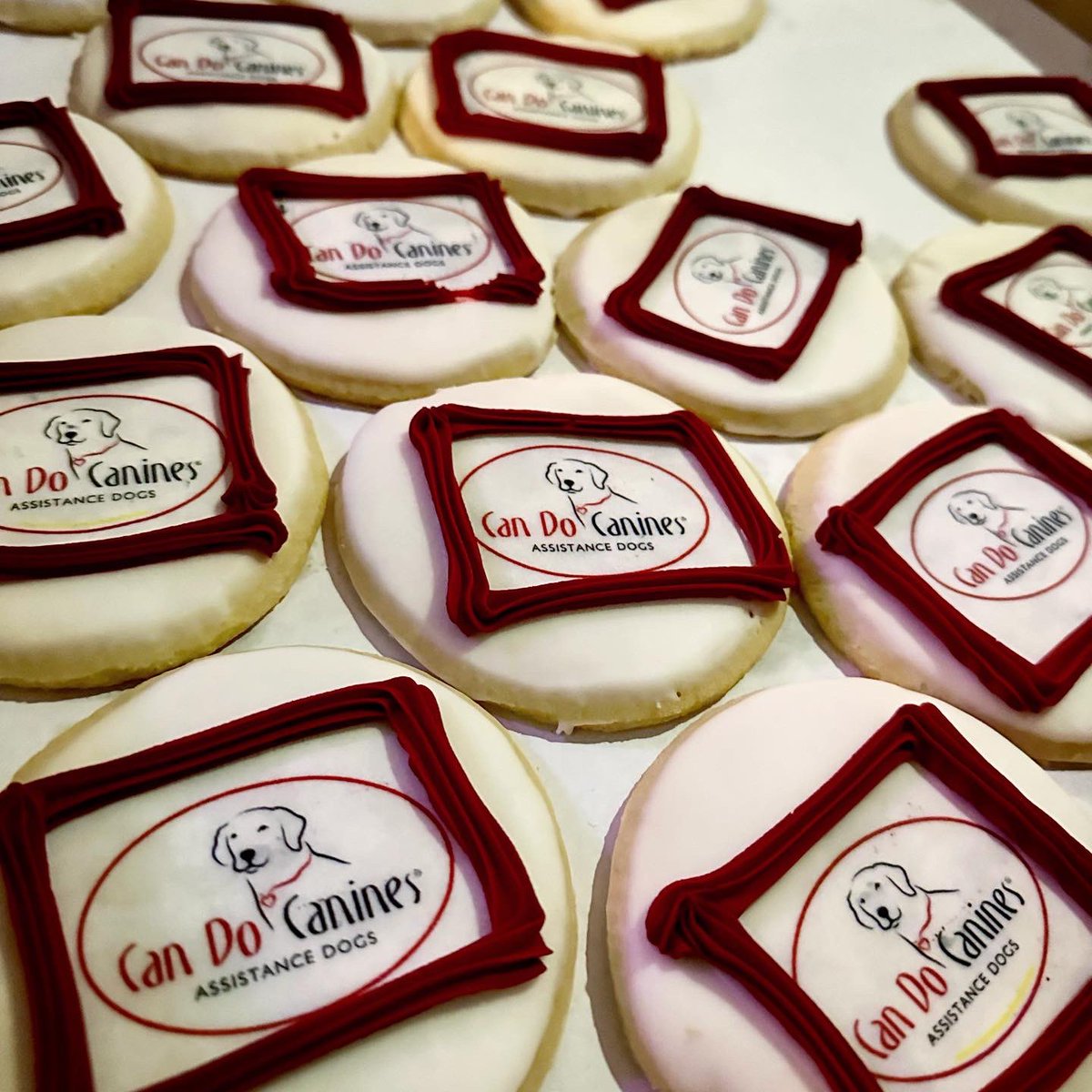 Treasure Island tweet media