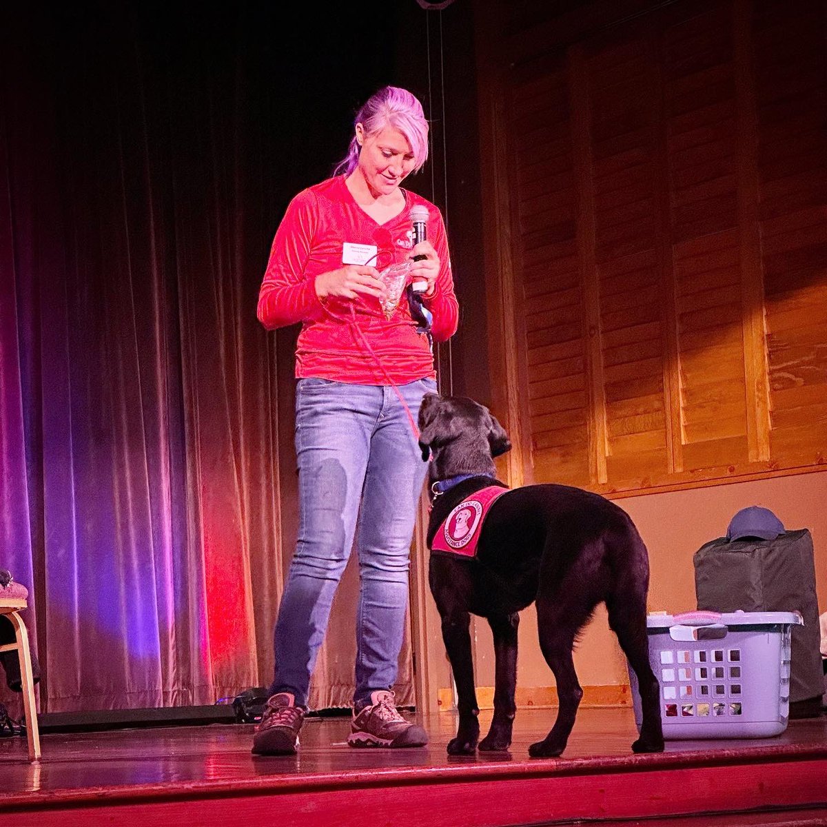 Treasure Island tweet media