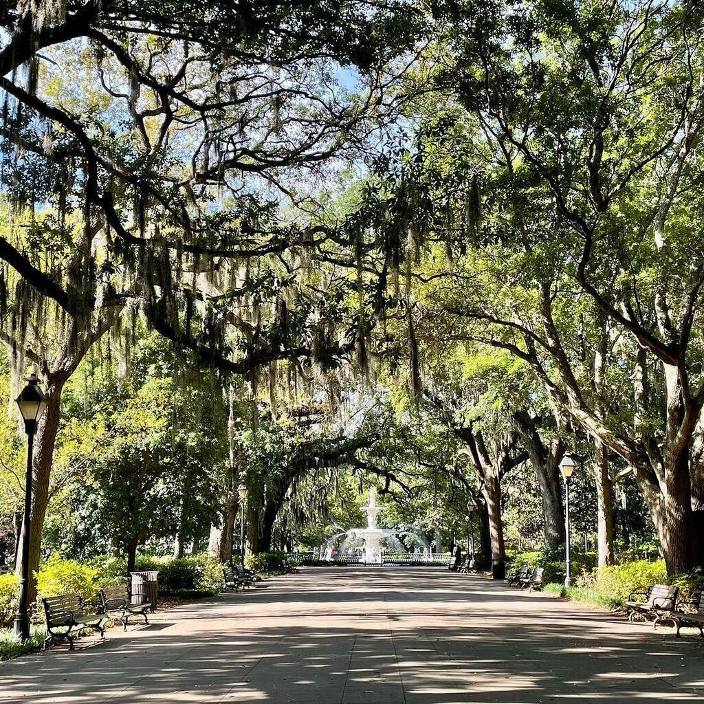 Happy Earth Day from Savannah! From the picturesque streets to the lush greenery, Savannah reminds us of the importance of protecting our environment. 🌎🌿 #VisitSavannah [📸 @adventures_in_pictures_] . . . #savannah #savannahga #savannahgeorgia #histor… instagr.am/p/CrWuY-aotxz/