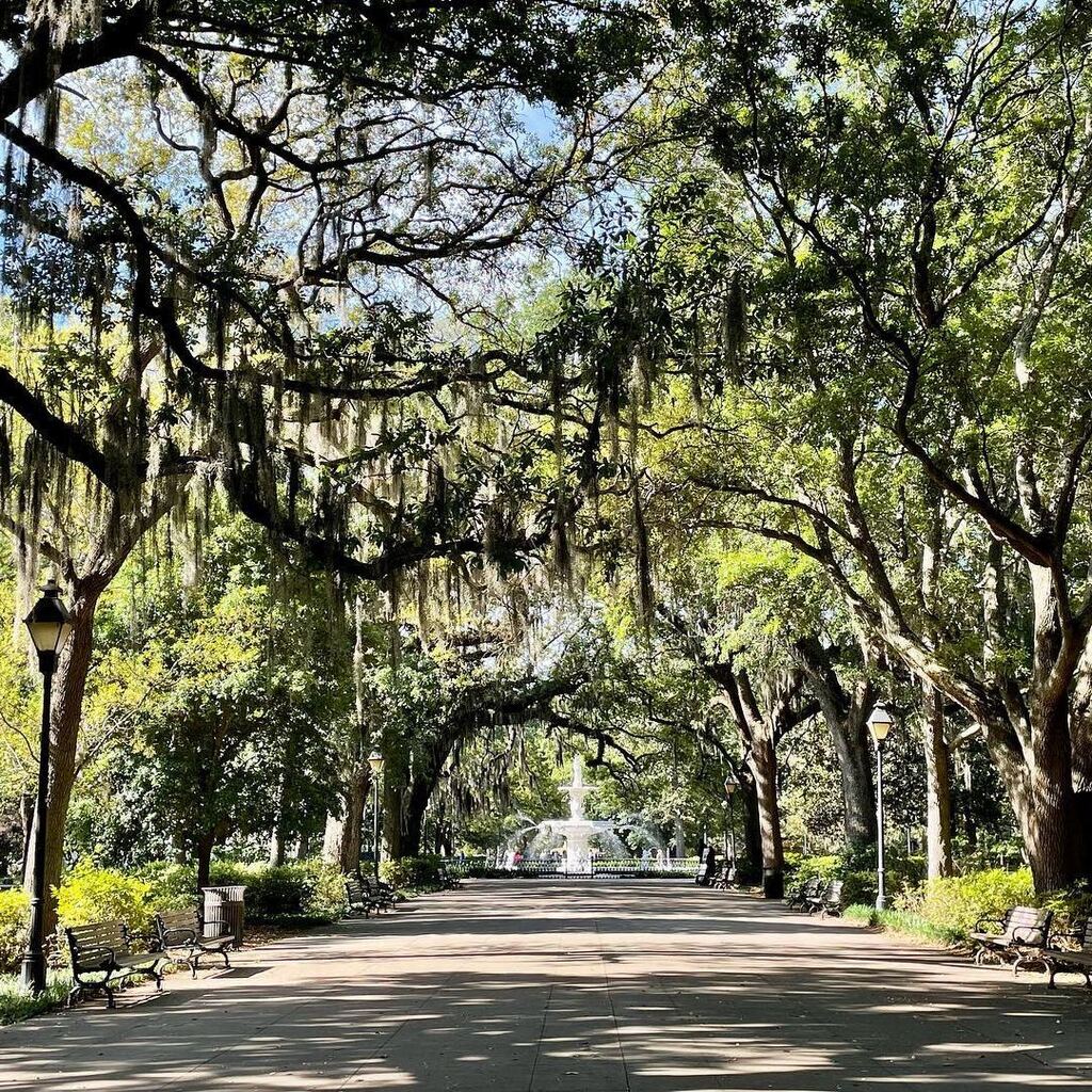 Happy Earth Day from Savannah! From the picturesque streets to the lush greenery, Savannah reminds us of the importance of protecting our environment. 🌎🌿 #VisitSavannah [📸 @adventures_in_pictures_]
.
.
.
#savannah #savannahga #savannahgeorgia #histor… instagr.am/p/CrWuY-aotxz/