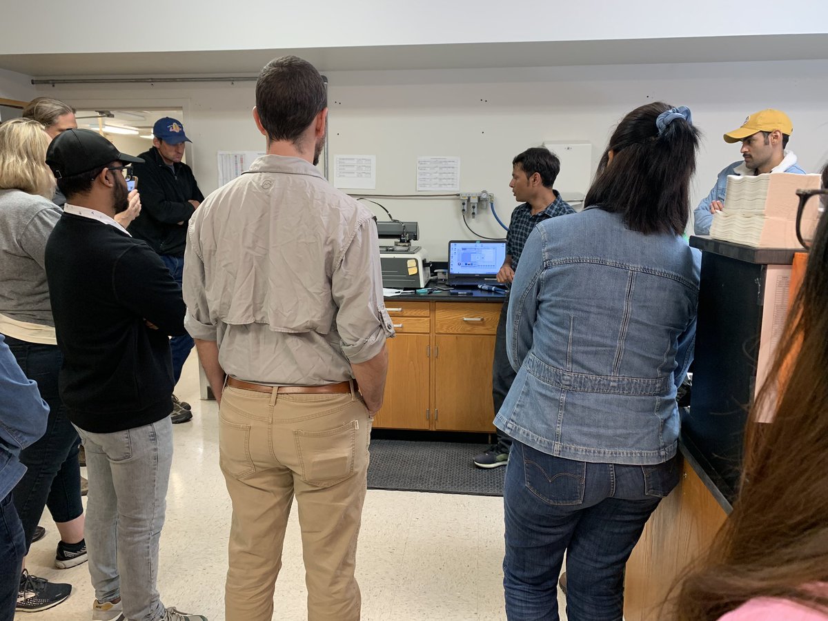 Jobelle Bruno tweet media