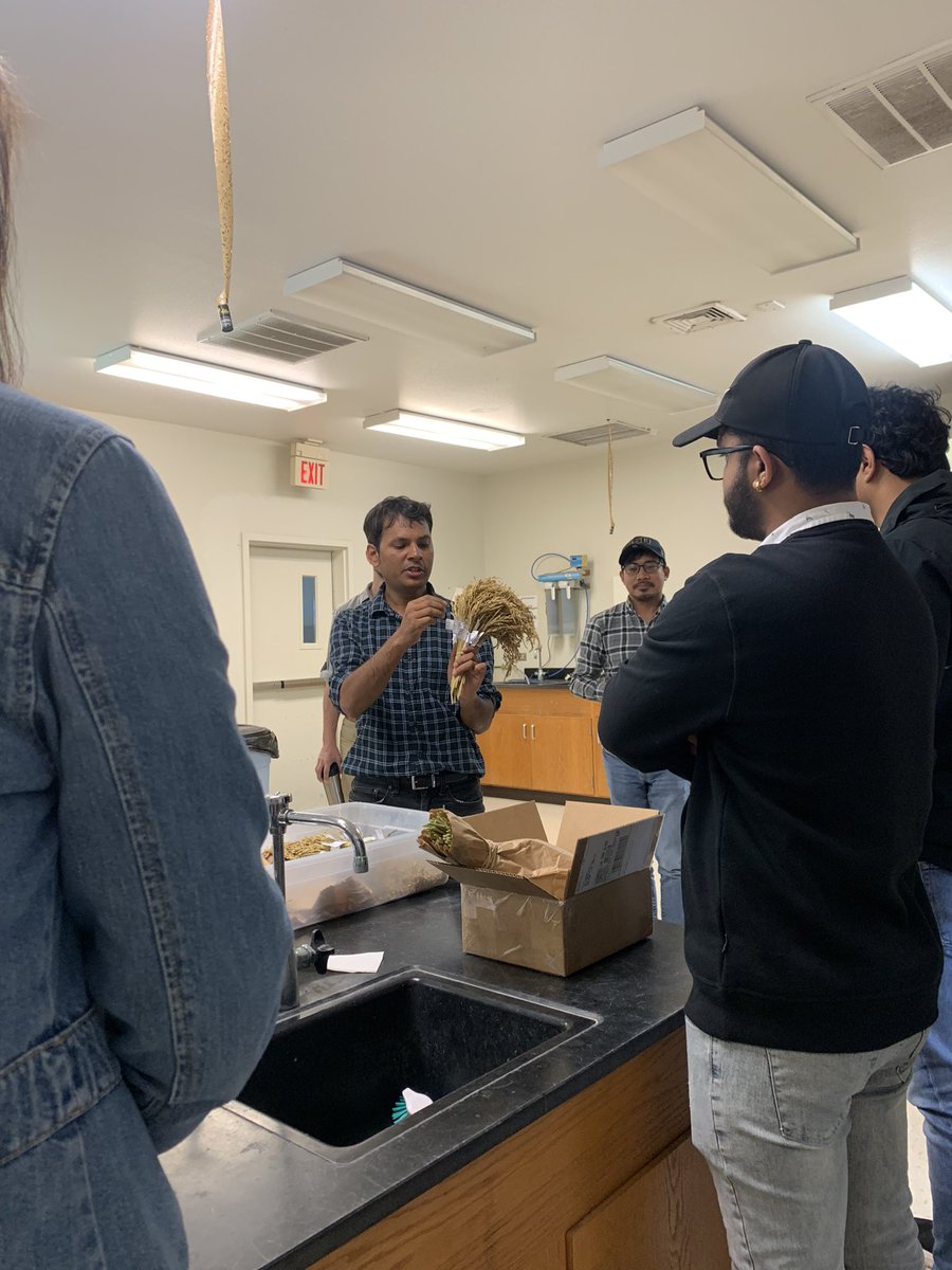 Jobelle Bruno tweet media