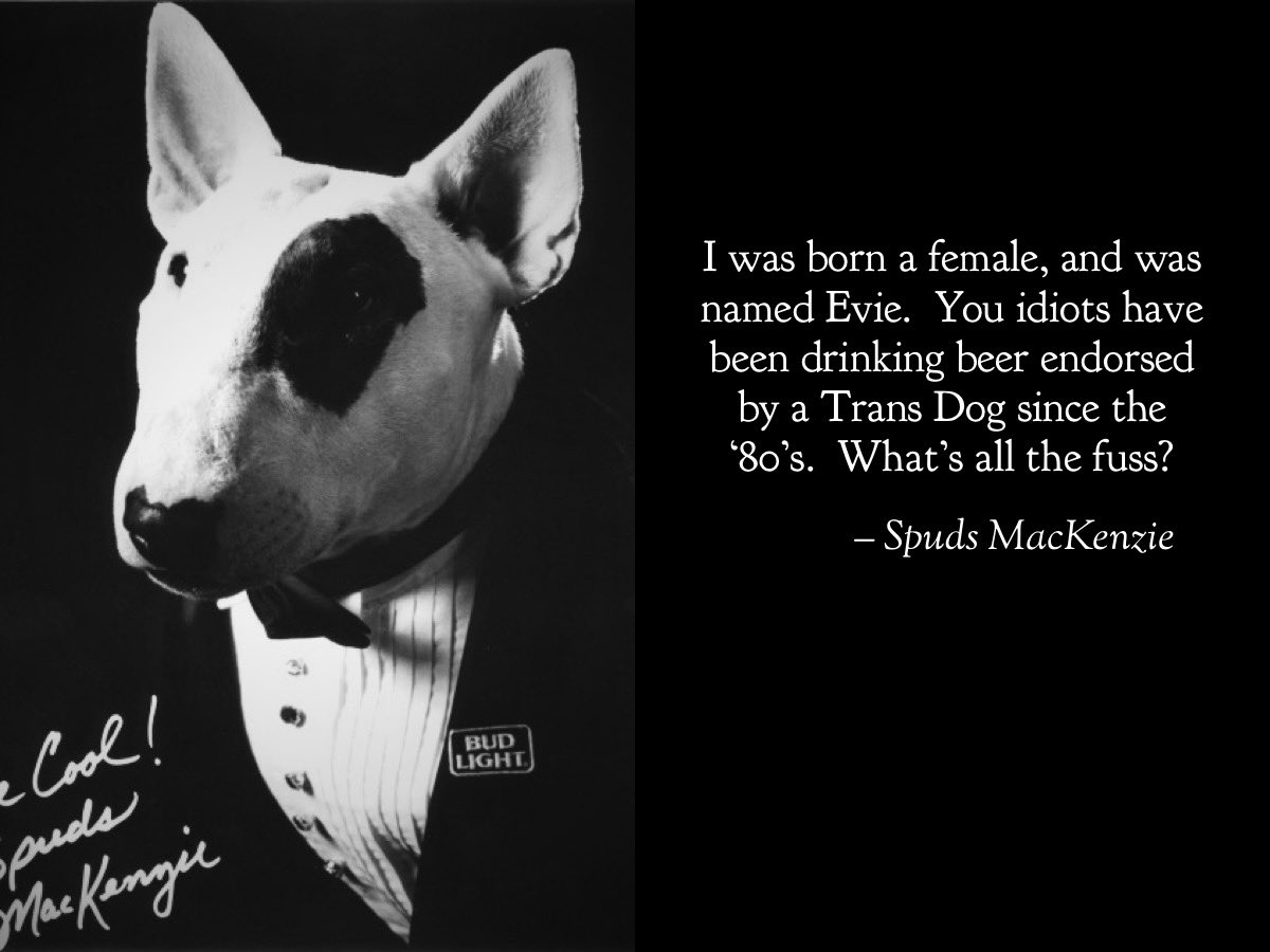 Jen_S_Thornton's tweet photo. @budlight #spudsmackenzie #spudsistrans https://t.co/afBZPtFAB4