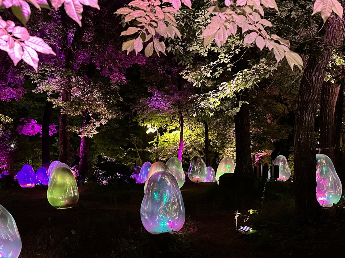 Last night, in the forest of the color-changing schmoos! #teamlab #higashitokorozawa