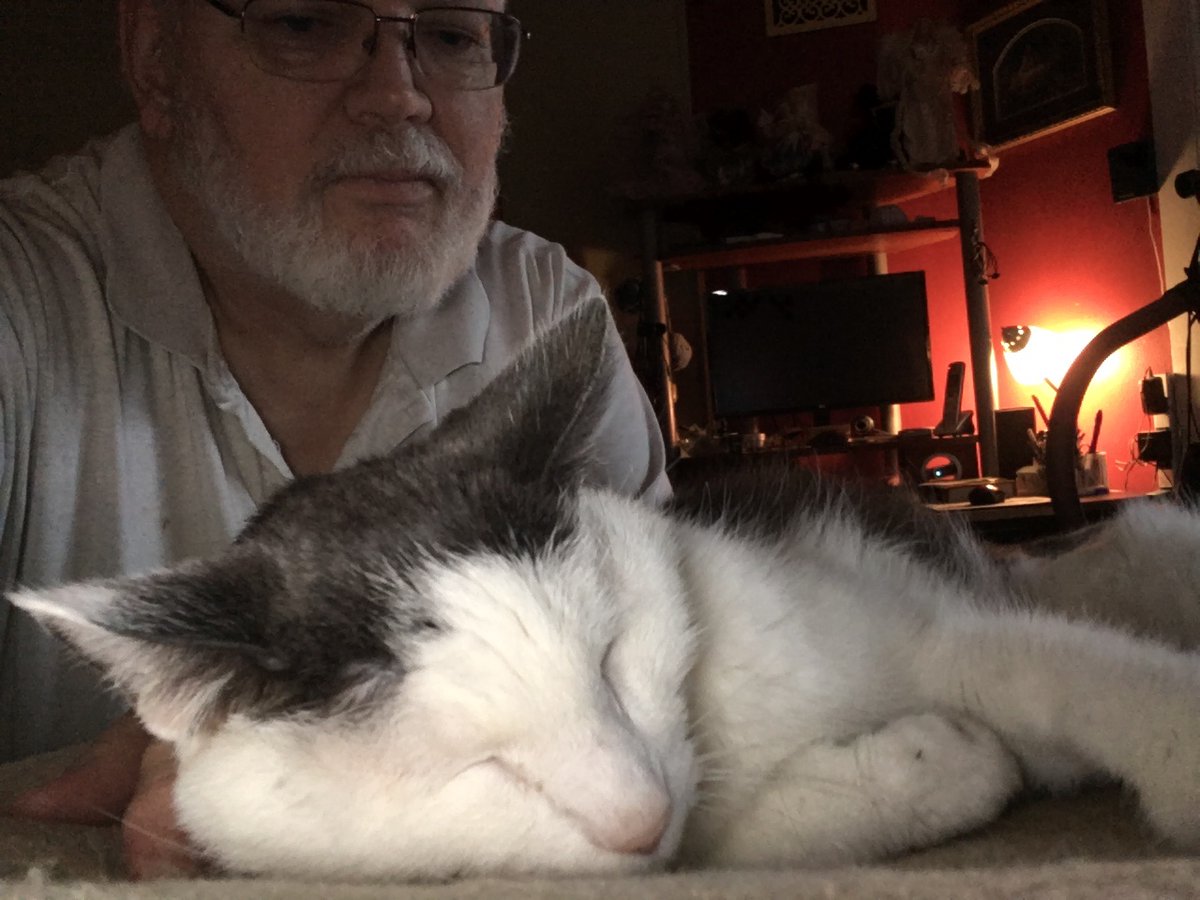 It’s #Caturday night and I have Dad right where I want him!  #CatsOfTwitter