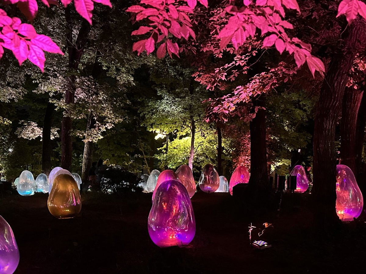 Last night, in the forest of the color-changing schmoos! #teamlab #higashitokorozawa