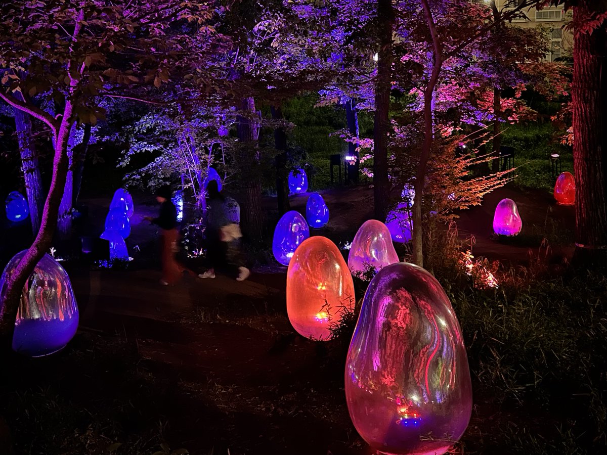 Last night, in the forest of the color-changing schmoos! #teamlab #higashitokorozawa