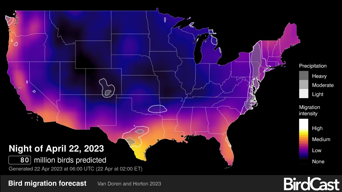 BeStillLookUp's tweet photo. This is SO COOL!!!! Bird migration forecasts in real-time. @DrBirdCast  https://t.co/XxzU6gwXCO https://t.co/FKhSvIzo0k