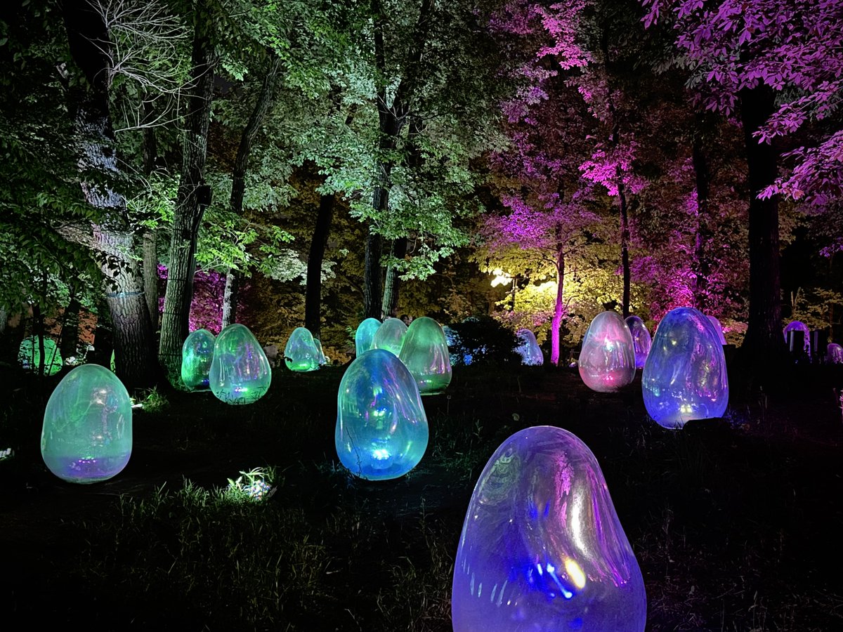 Last night, in the forest of the color-changing schmoos! #teamlab #higashitokorozawa
