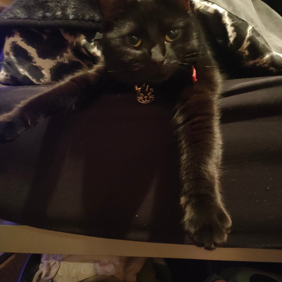 Aria is ready for bed, night night sweety, see you at 3am 🤣 and 6am 🤣🤣.