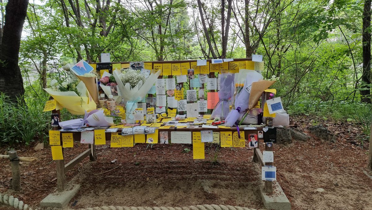 힐링 인 서울 포레스트 (Healing in Seoul Forest) tweet media