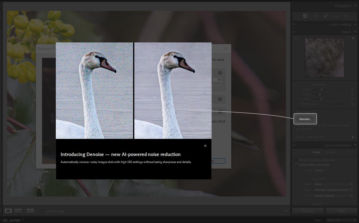 Mark teasdale on twitter lightroom new ai update denoise i