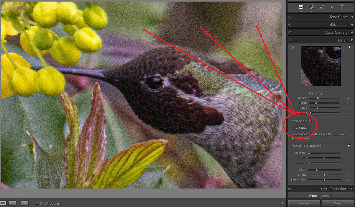 Mark teasdale on twitter lightroom new ai update denoise i