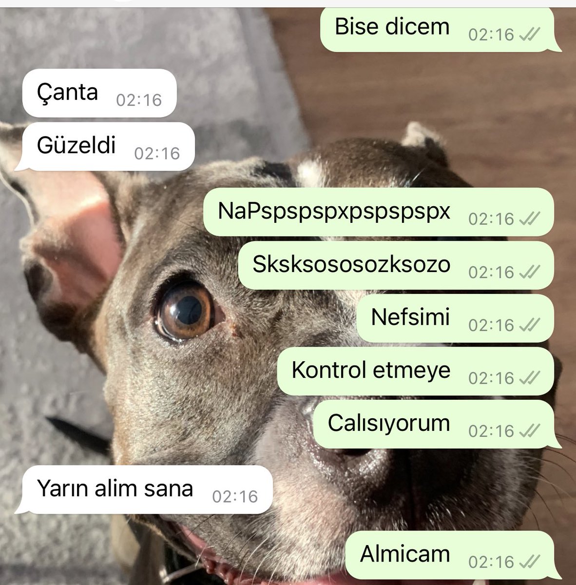 İçimi okuyo ya gözümden anlıyo ne diyecegimi ama bise diyim mi çanta olay
