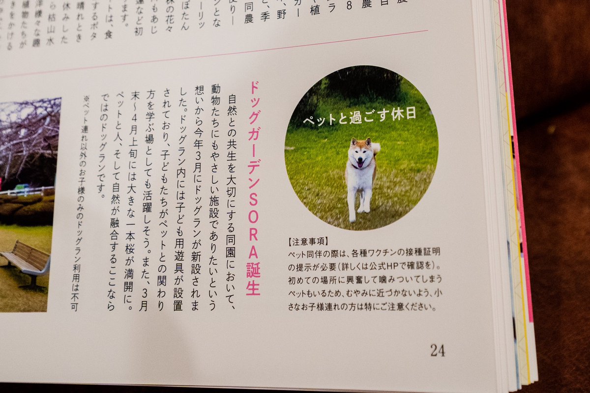 teruo_contrail's tweet photo. 鹿児島の情報誌リープのドッグガーデンSORAを紹介するページに載ってるから、鹿児島の人は見てね！ってこれ言ってみたかったー
#柴犬 
#テルオ https://t.co/1GRnz70CMq