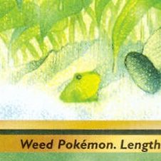 I was sorting my old pokemon cards and just now realized there’s an Actual Frog sitting next to oddish