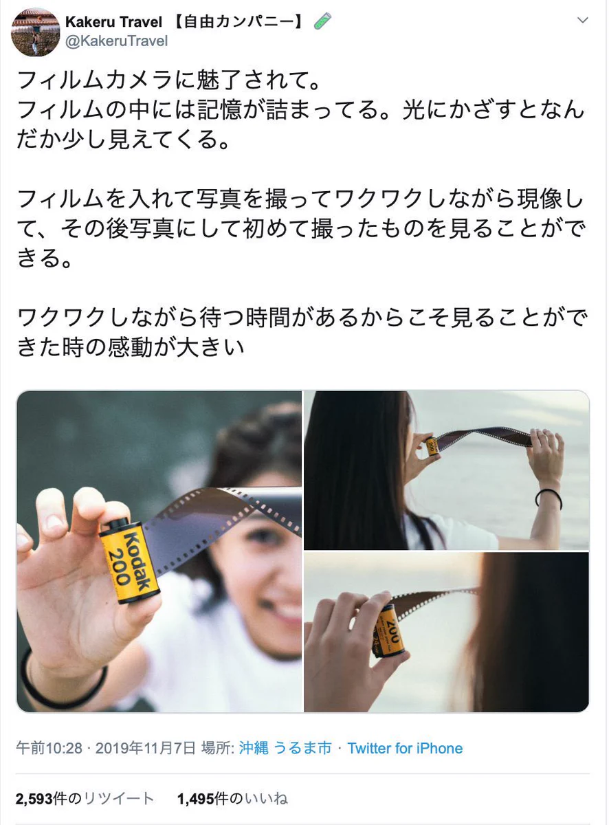 フィルムカメラに魅了されて。フィルムを引き出して光に当ててしまう。