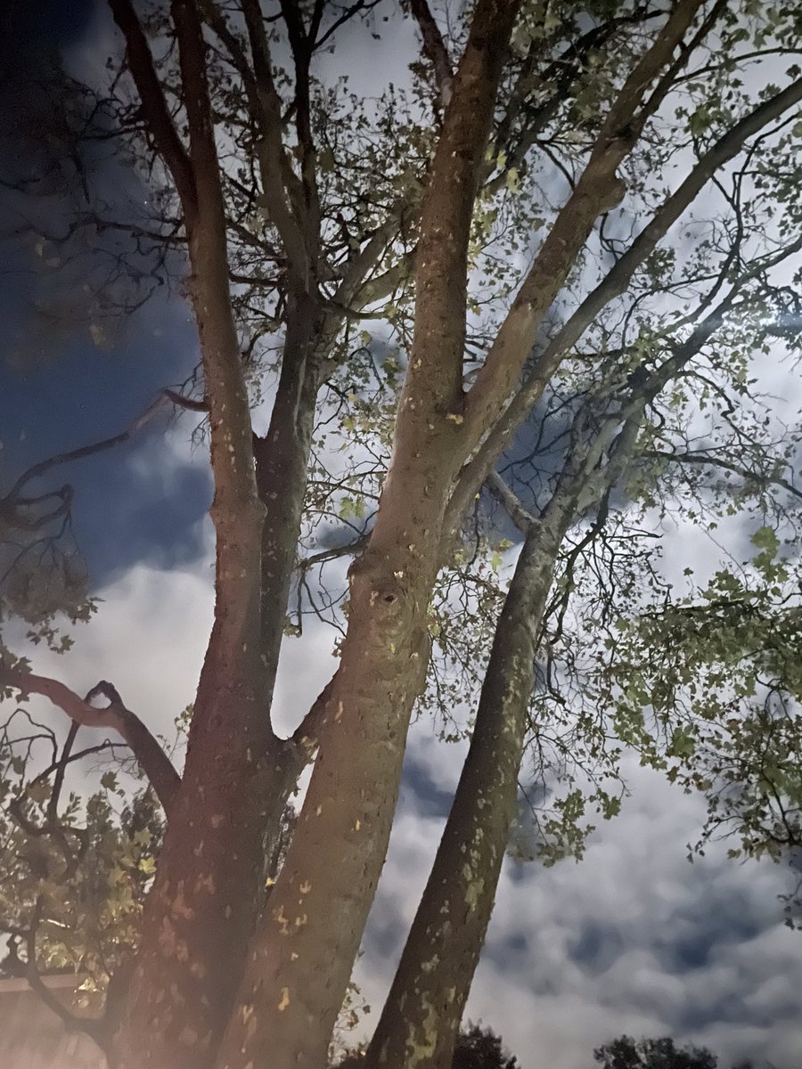 Grass Valley CA Spring Home Garden Lifestyle Show with #8597! <a href="/WendyPacNorth/">Wendy powell</a> <a href="/ScottGeiselHDI/">Scott Geisel</a> <a href="/NicoleHsps/">Nicole Chahoud HSPS</a> <a href="/jlar1228/">Jessica Larsen</a> <a href="/THD_Jason/">Jason Honey</a> <a href="/SteveWoodsHD/">Steve Woods</a> <a href="/MikeSpates/">Mike Spates</a> <a href="/THDjulia/">Julia</a> <a href="/THDYuda/">Yuda Arbeli</a> <a href="/THDRyanSilcott/">Ryan Silcott</a> <a href="/SteveKnottPN/">Steve Knott</a> @HDIS_JG <a href="/ChetHde/">HDEChet</a> <a href="/ZehmAndrew/">Andrew Zehm</a>