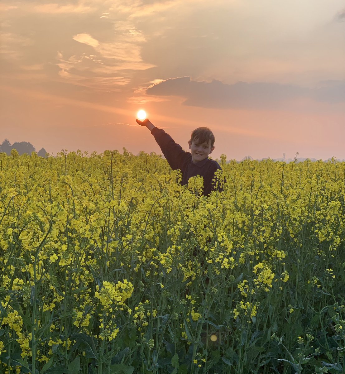 Untitled28's tweet photo. @nationaltrust What an evening for a walk with my youngest! The Rapeseed blossom always makes for a great picture #BlossomWatchComp https://t.co/KR6E3VF8Y4