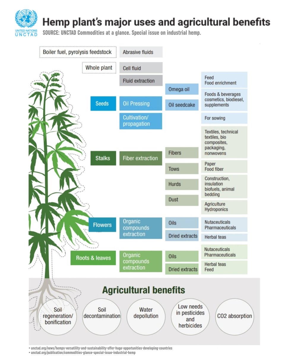 HIGH_TIMES_Mag's tweet photo. There's no #EarthDay without acknowledging hemp. 🌿 We're making progress, but the planet needs to go all-in. 🌎 

In late '22, @unctad released a report: “Commodities at a glance: Special issue on industrial hemp,” along with an article and this graphic.
━━━
Article: https://t.co/P4fRxEYqvK
Report: https://t.co/AhYmTQlQei
