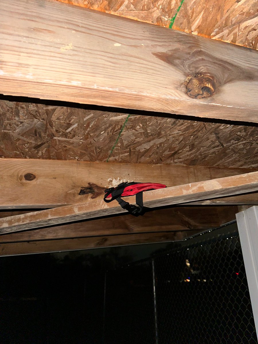 OFFICIAL PT ASSASSINS 2023 tweet media